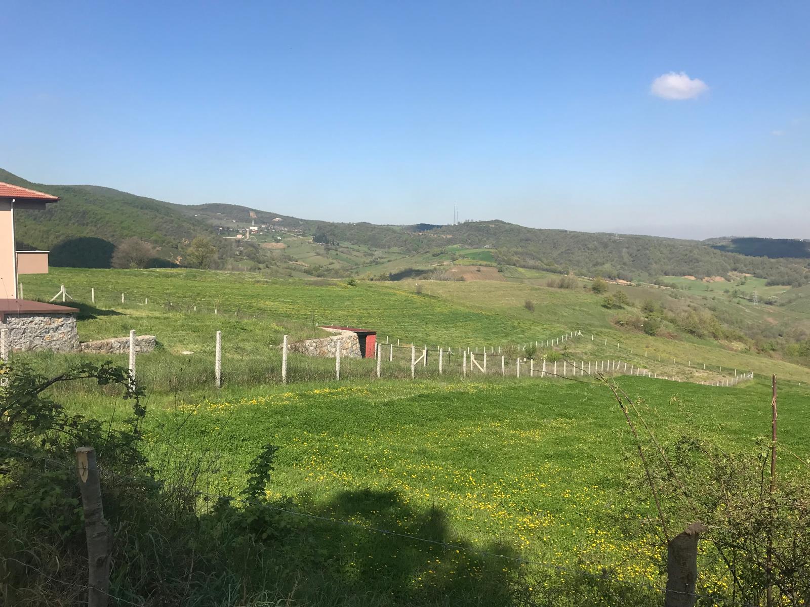 İlan Fotoğrafı
