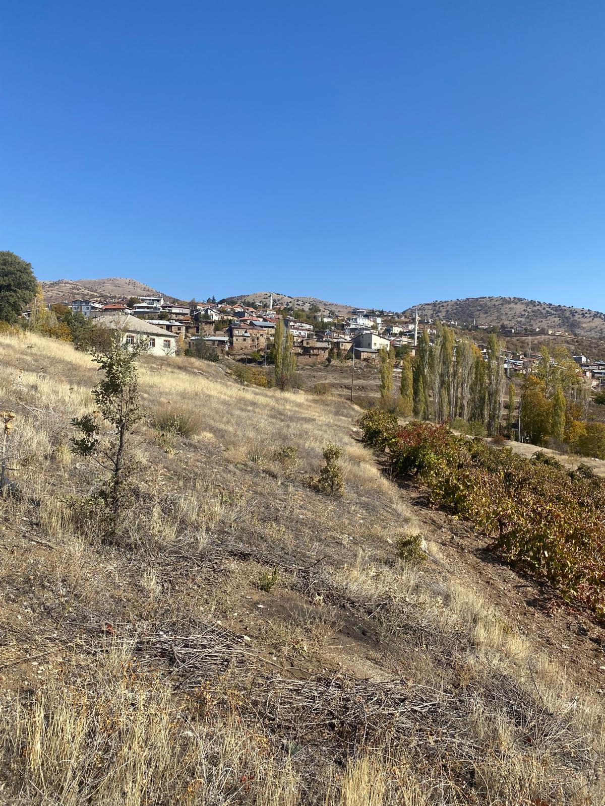 İlan Fotoğrafı