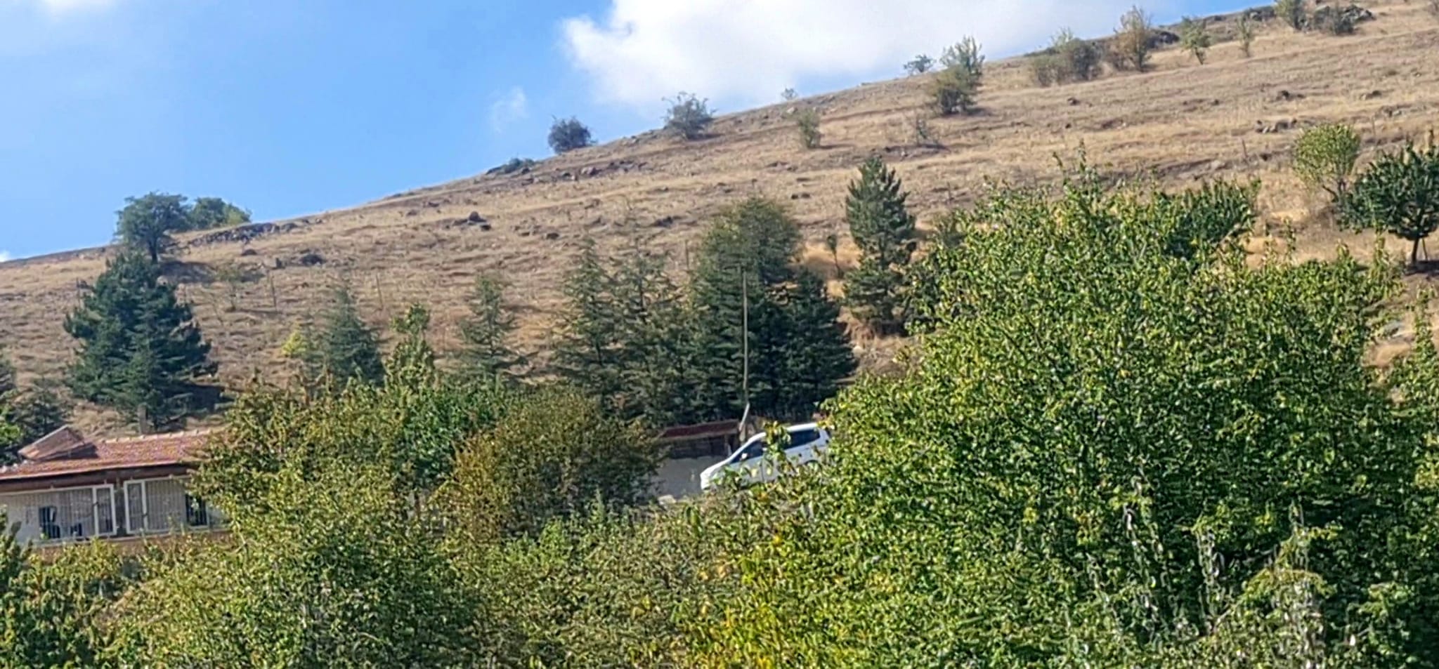 İlan Fotoğrafı
