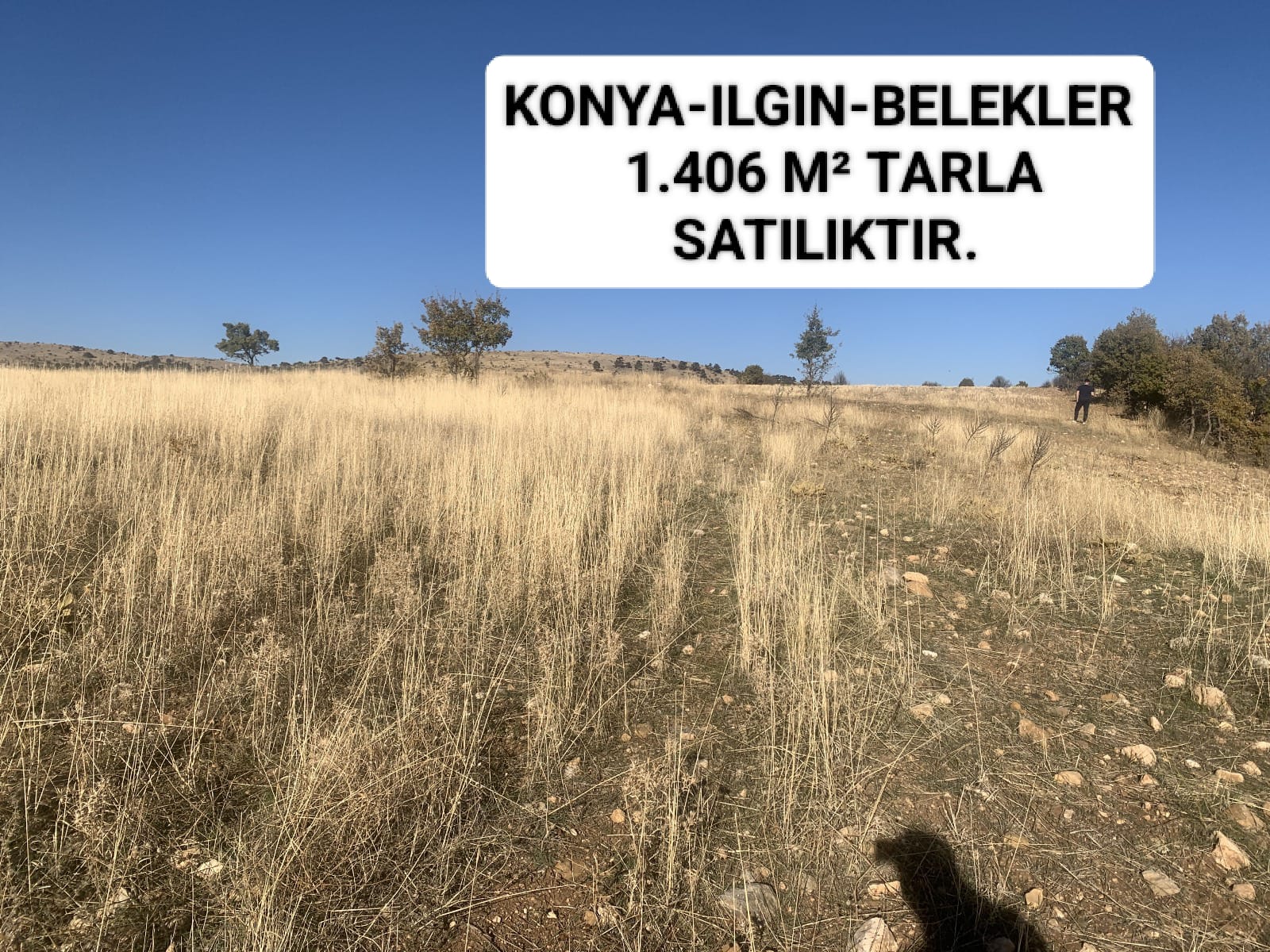 İlan Fotoğrafı
