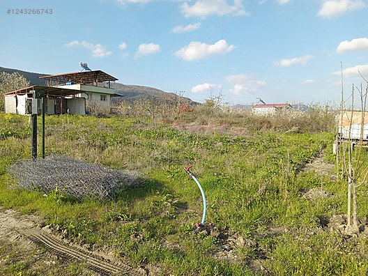 Fotoğraf