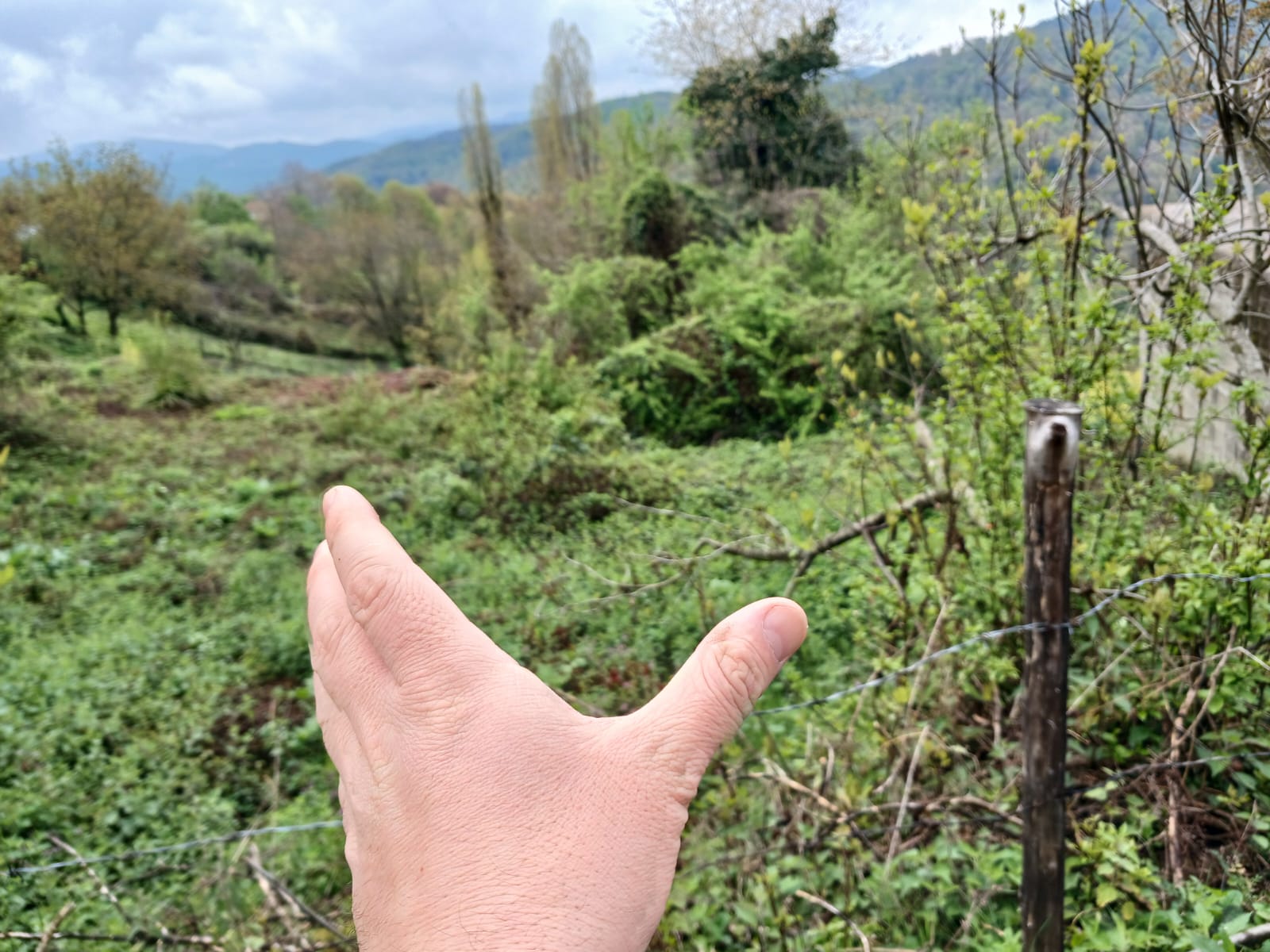 İlan Fotoğrafı