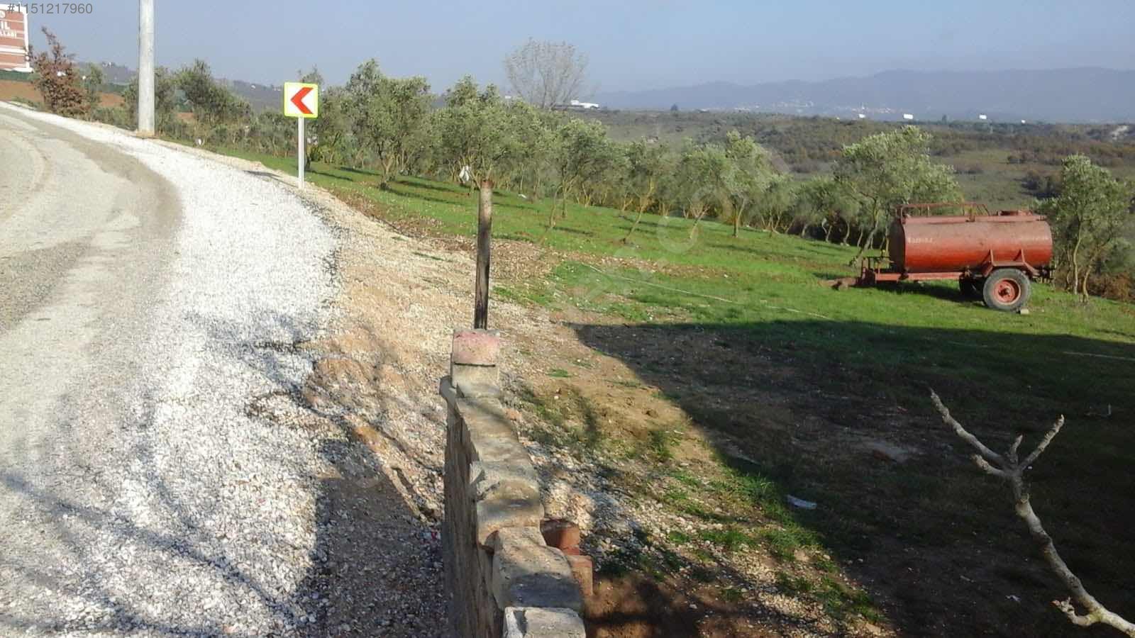 İlan Fotoğrafı