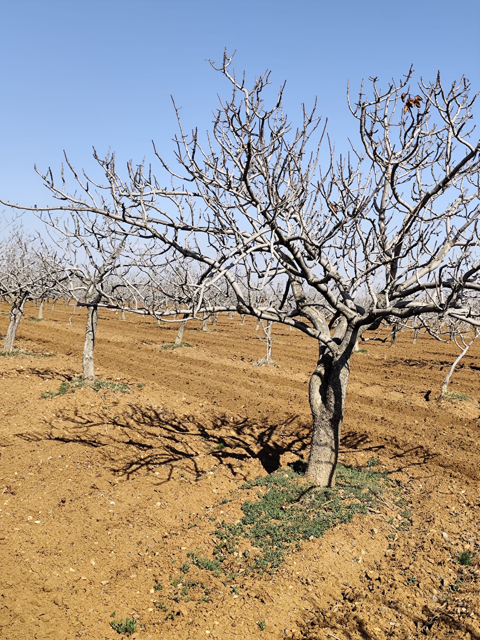 İlan Fotoğrafı