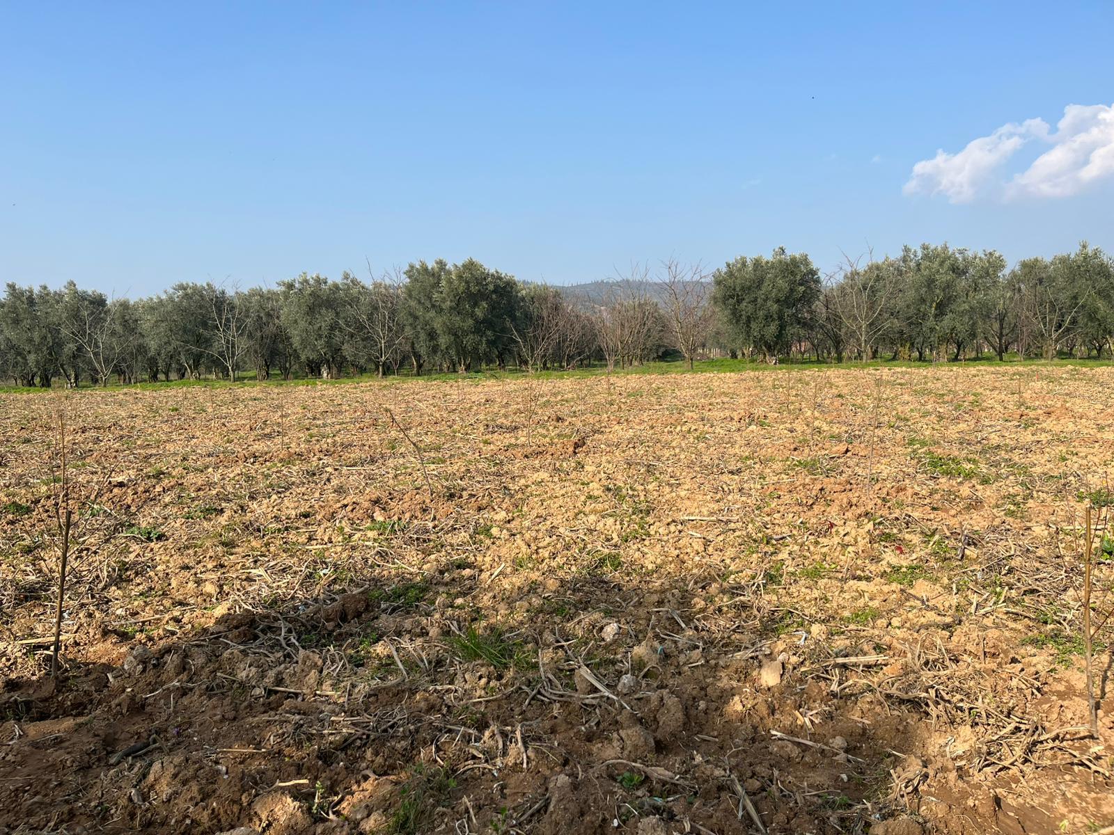 İlan Fotoğrafı