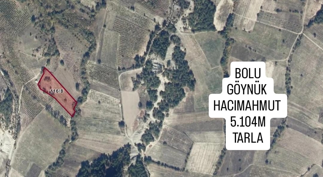 İlan Fotoğrafı