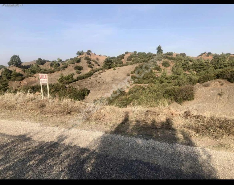 İlan Fotoğrafı