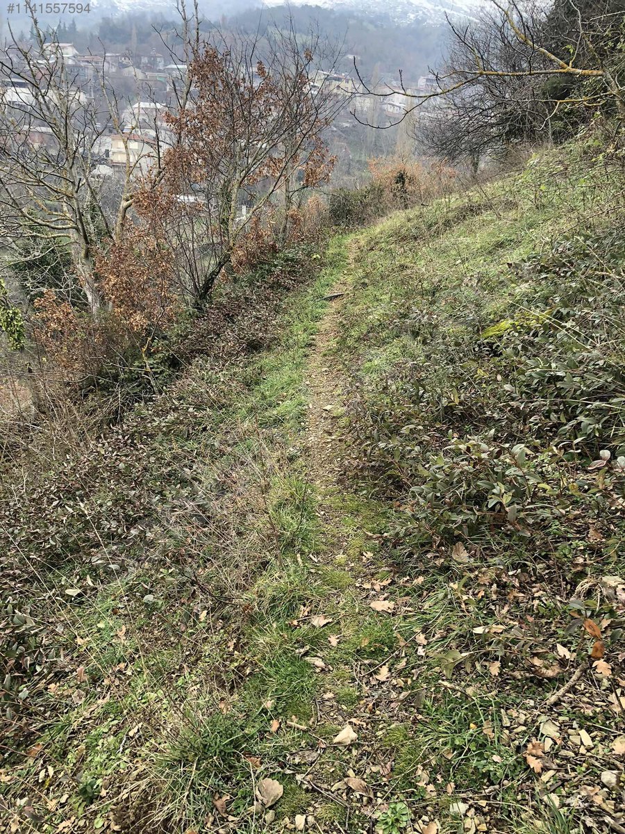 Fotoğraf