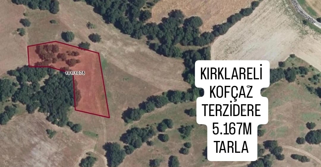 Fotoğraf