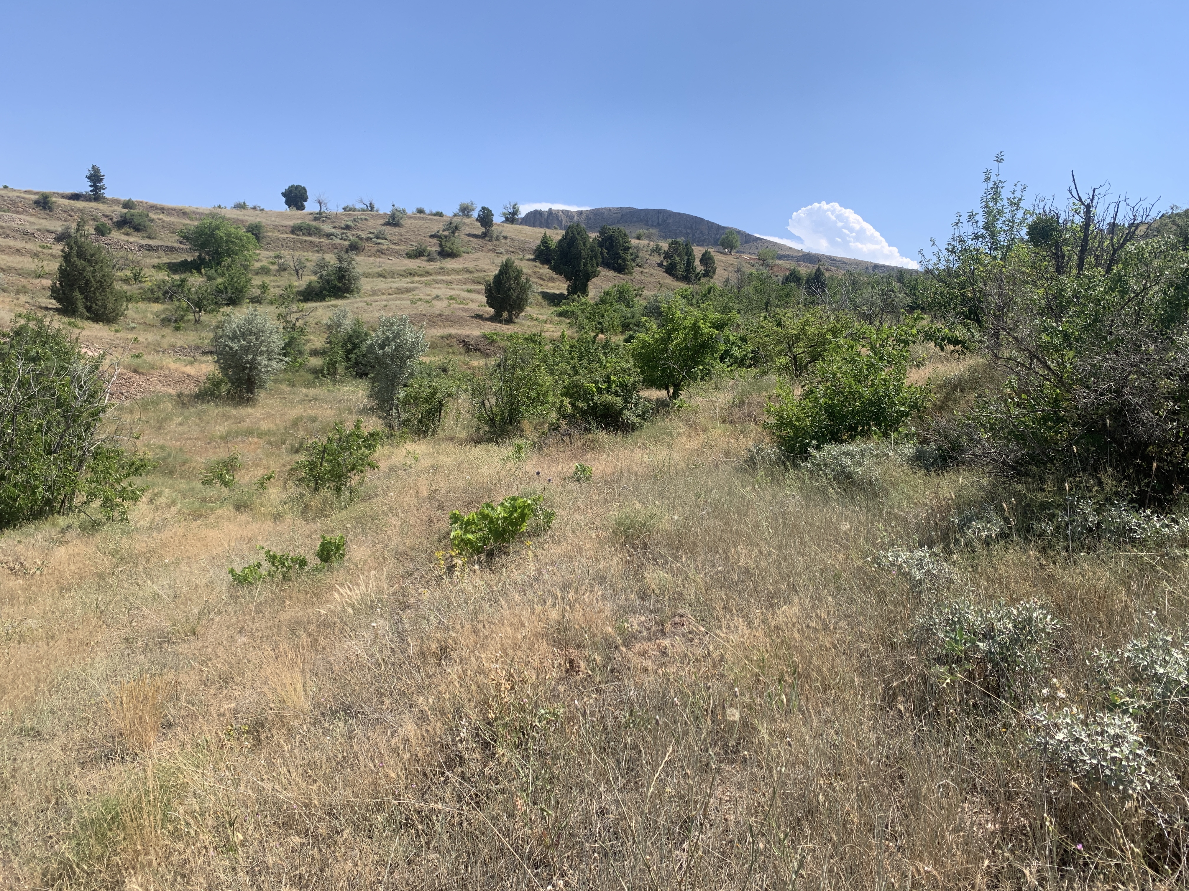 İlan Fotoğrafı