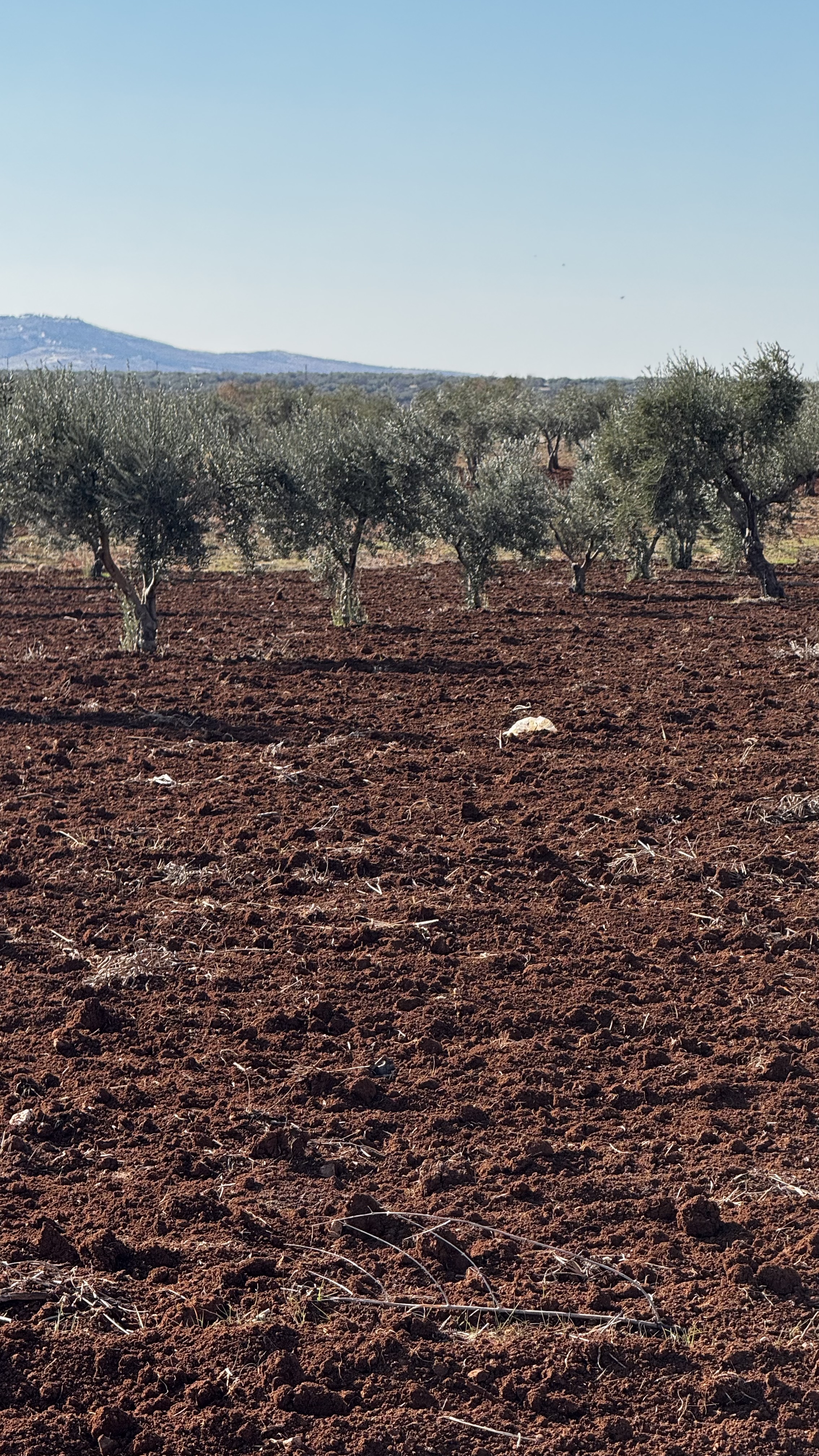 İlan Fotoğrafı