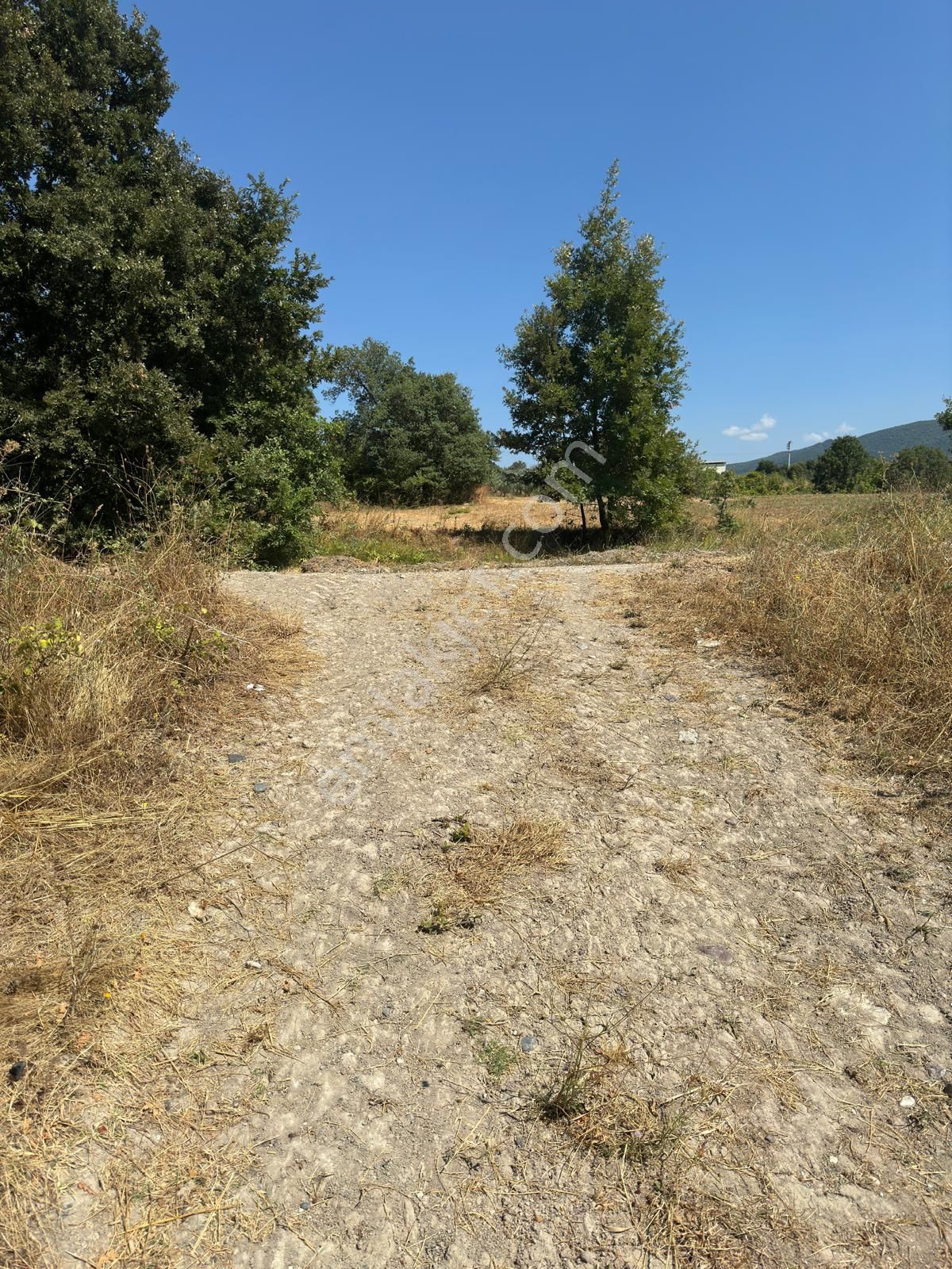 İlan Fotoğrafı