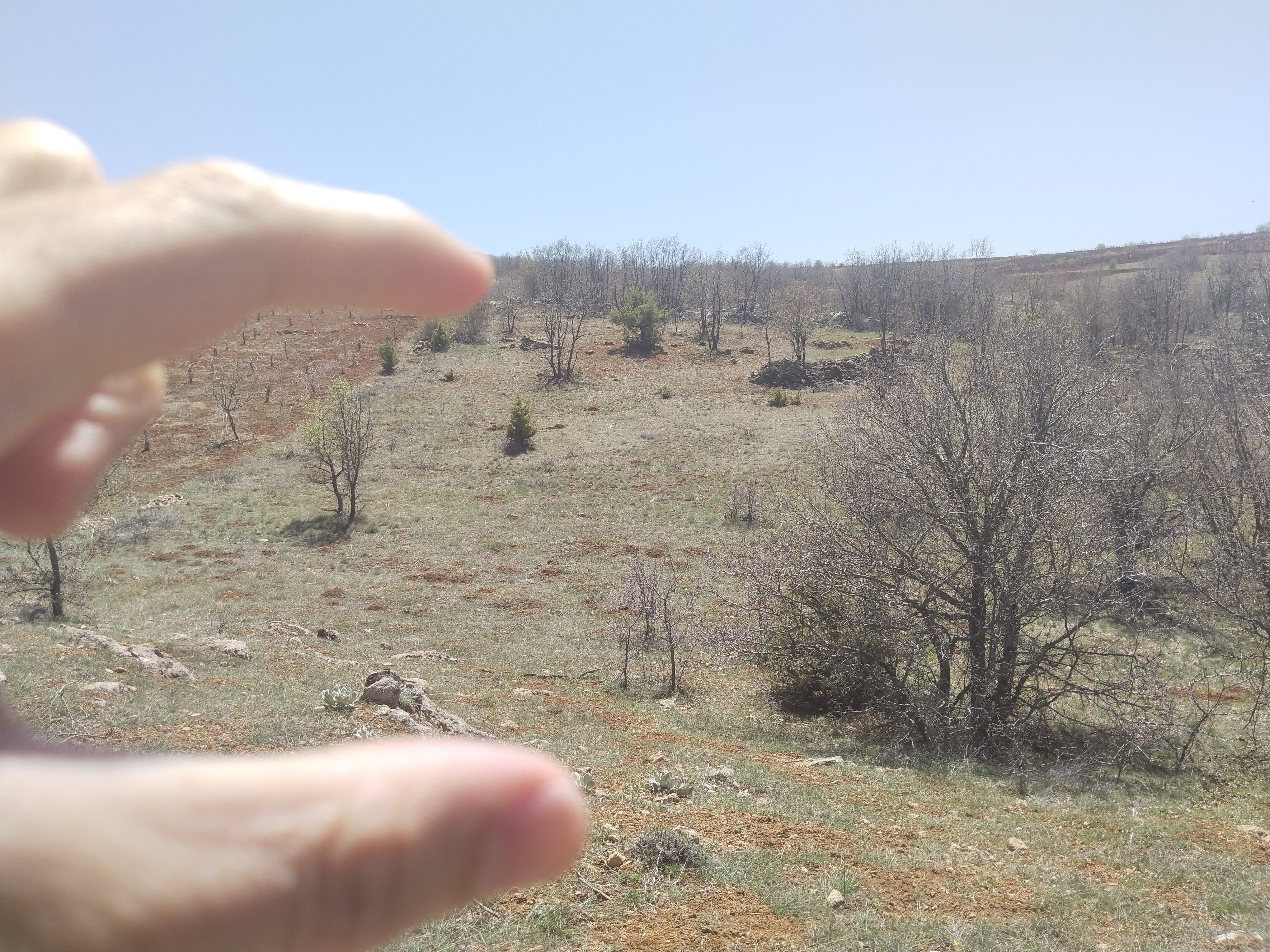 İlan Fotoğrafı