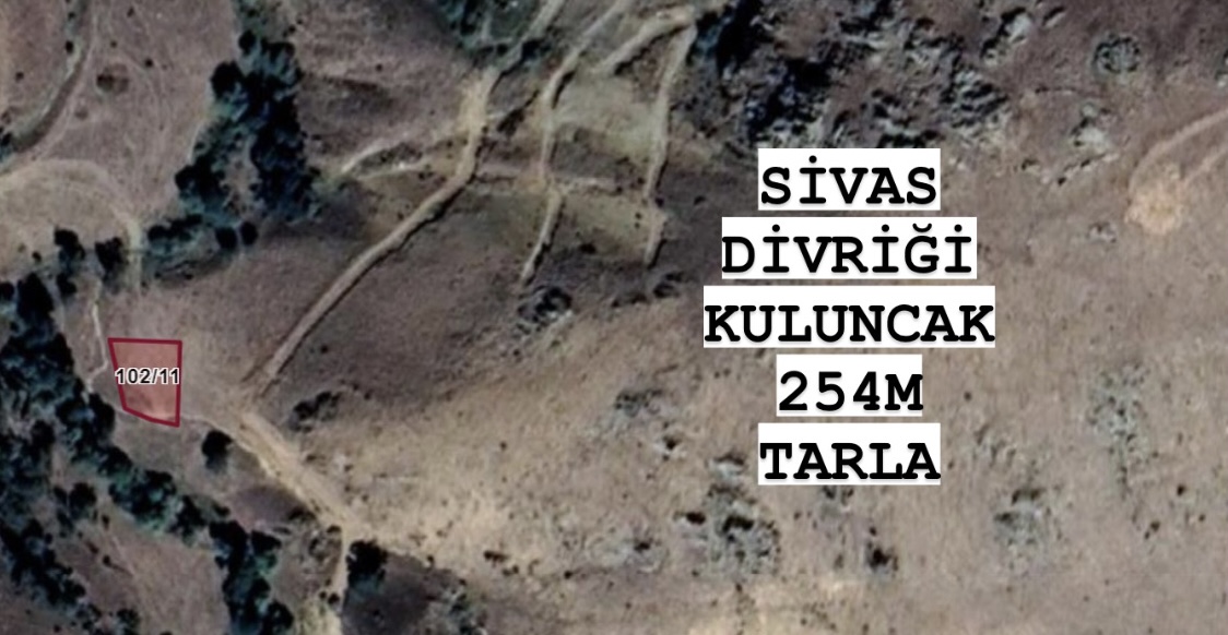 İlan Fotoğrafı