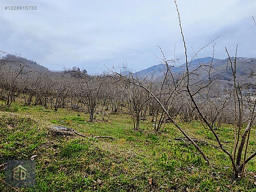 İlan Fotoğrafı