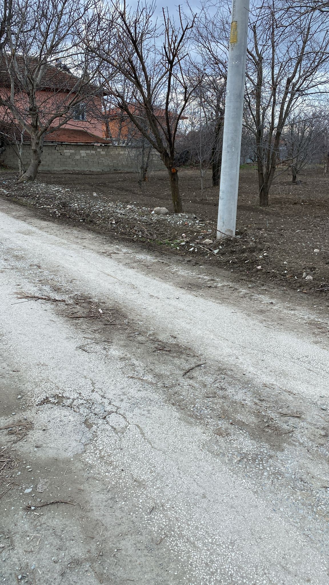 İlan Fotoğrafı