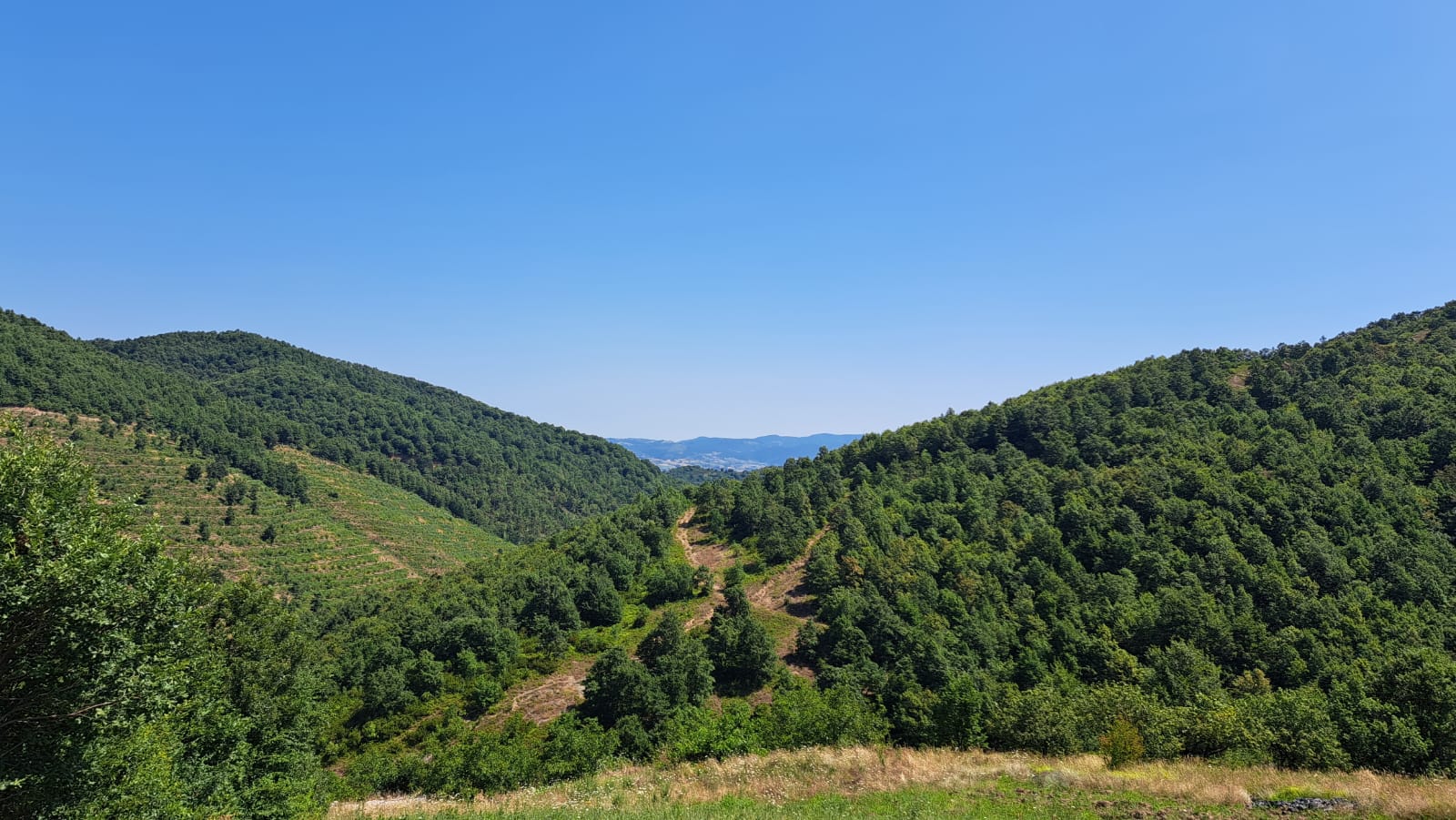 İlan Fotoğrafı