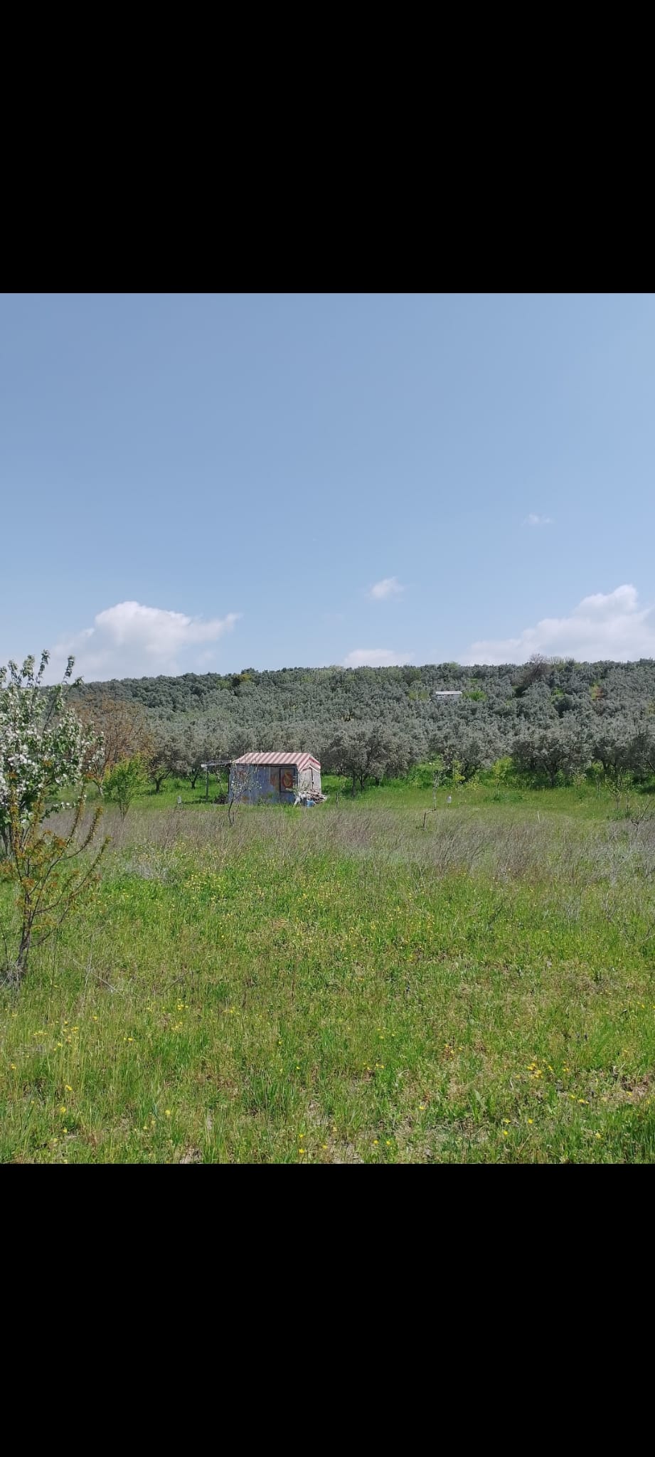 İlan Fotoğrafı