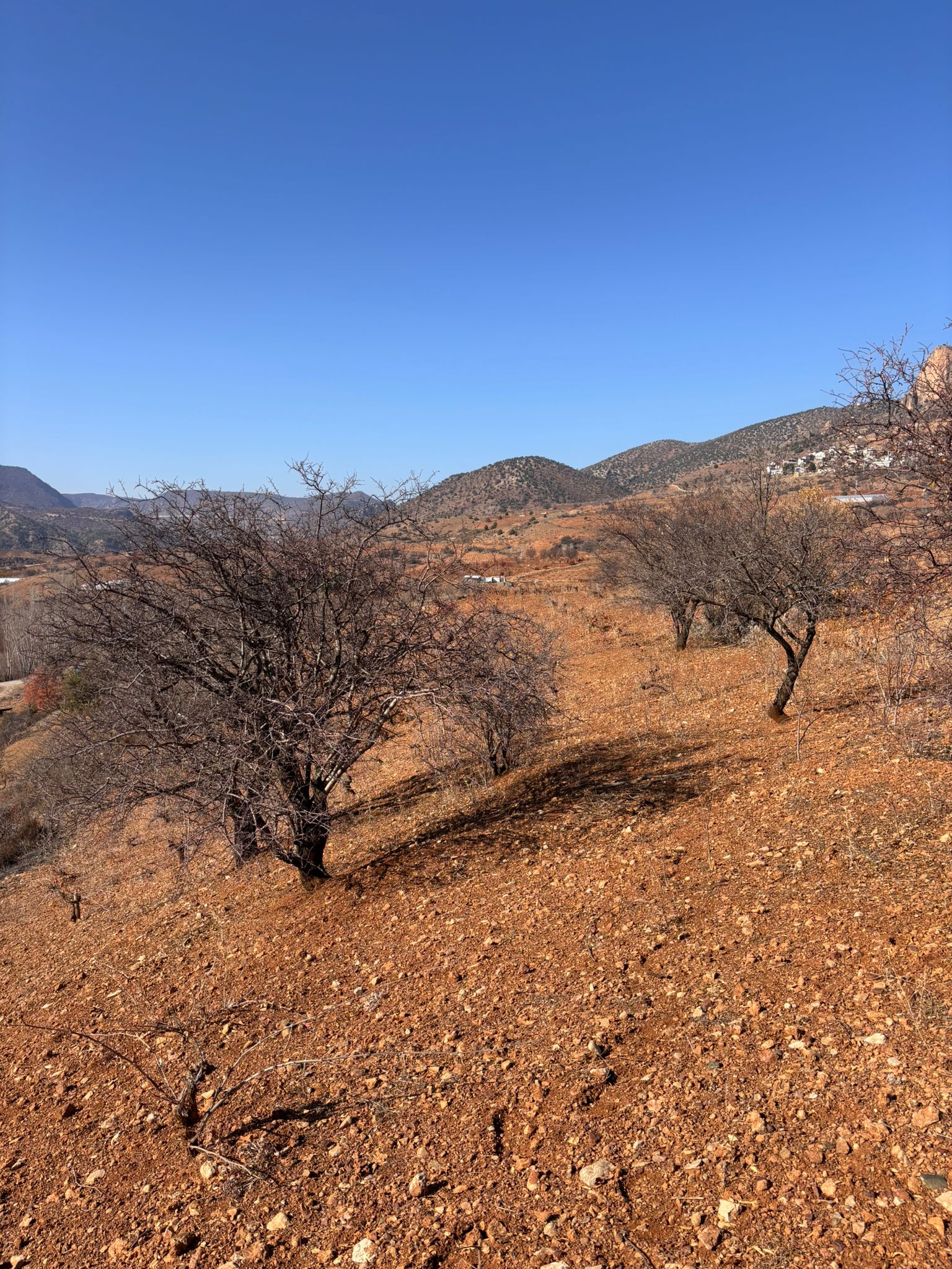 İlan Fotoğrafı