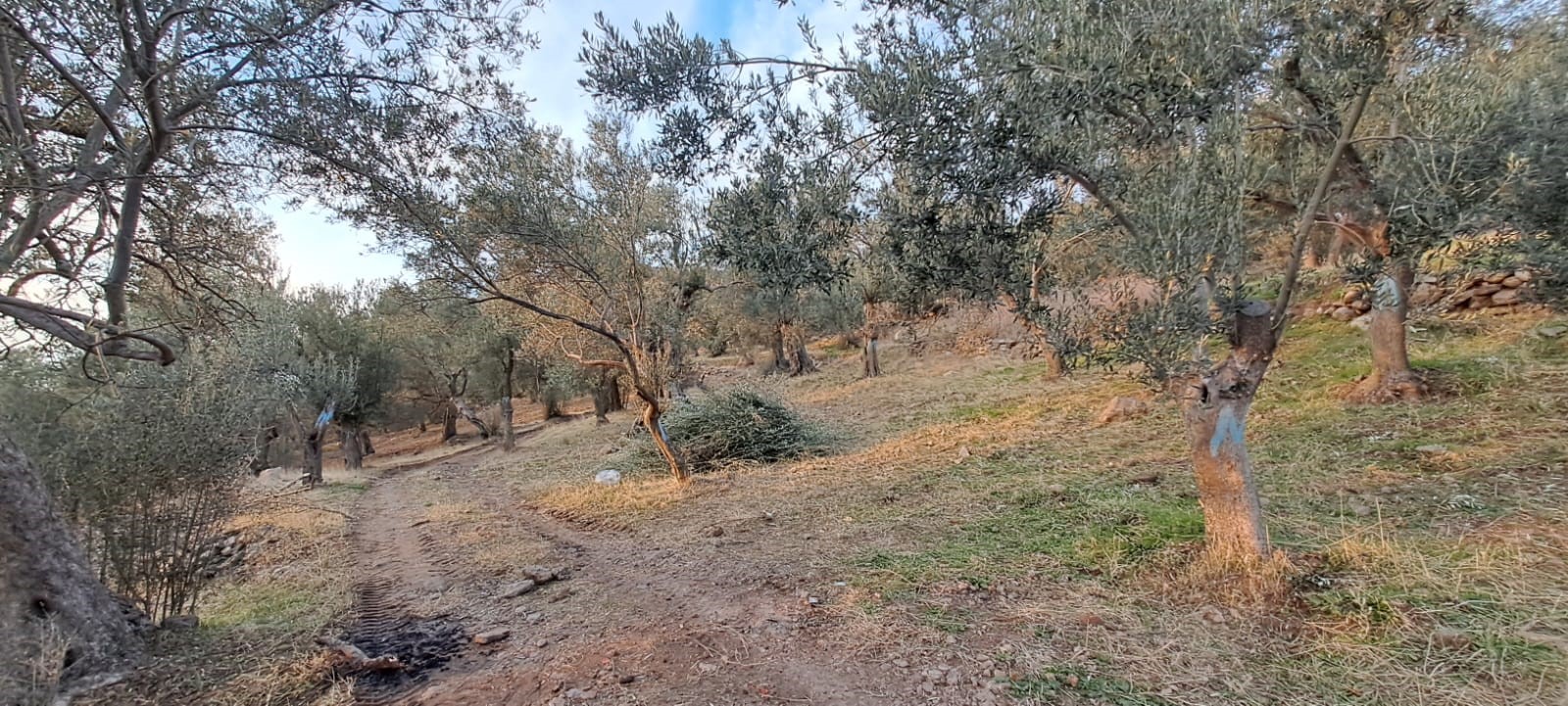 İlan Fotoğrafı