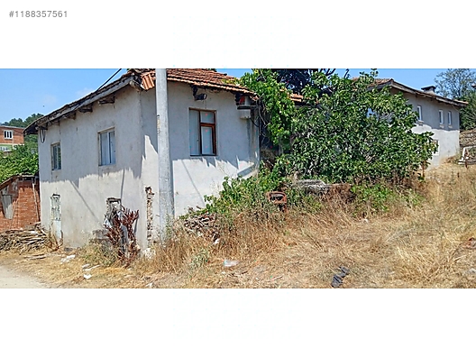 Fotoğraf