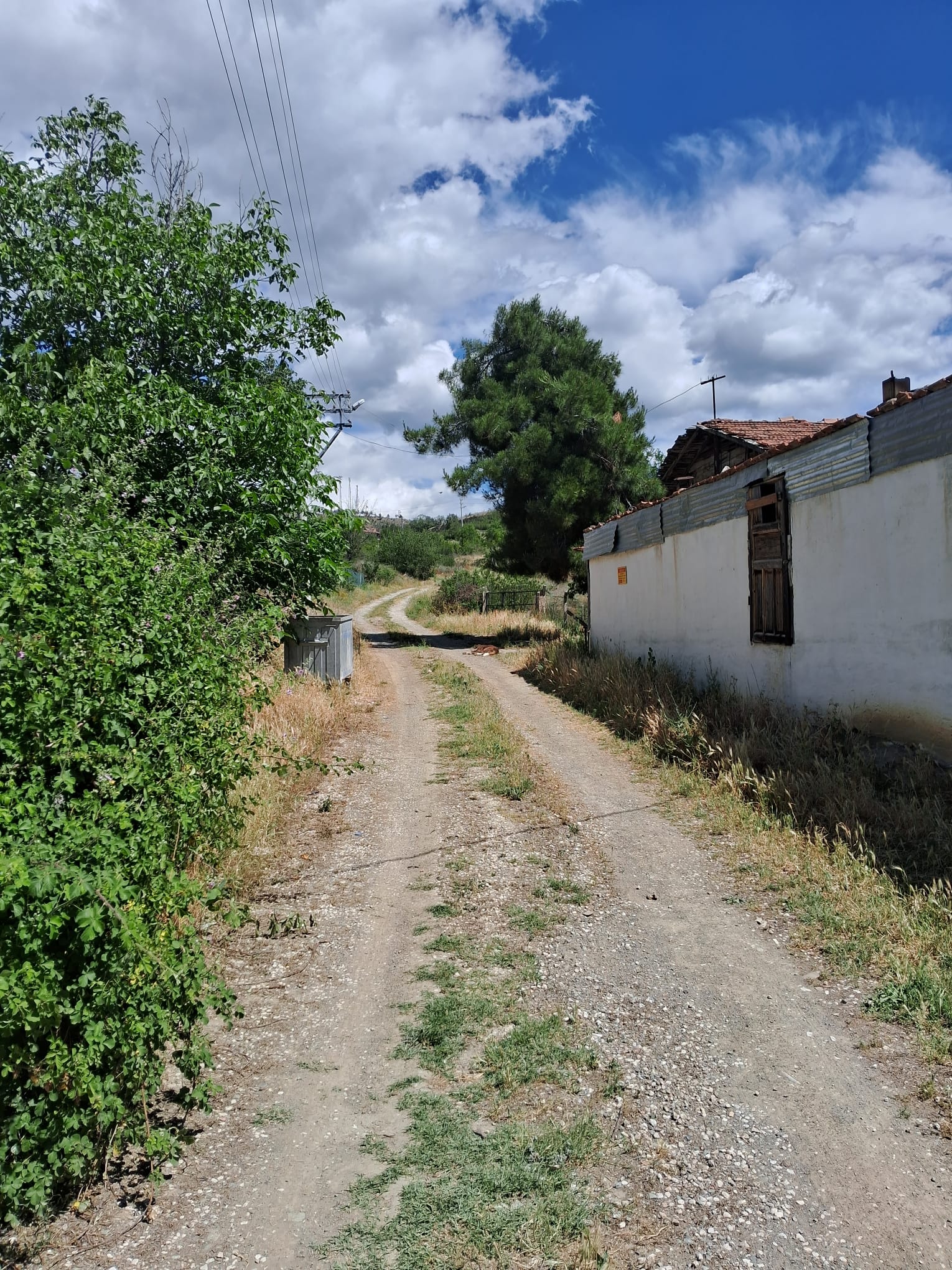 İlan Fotoğrafı