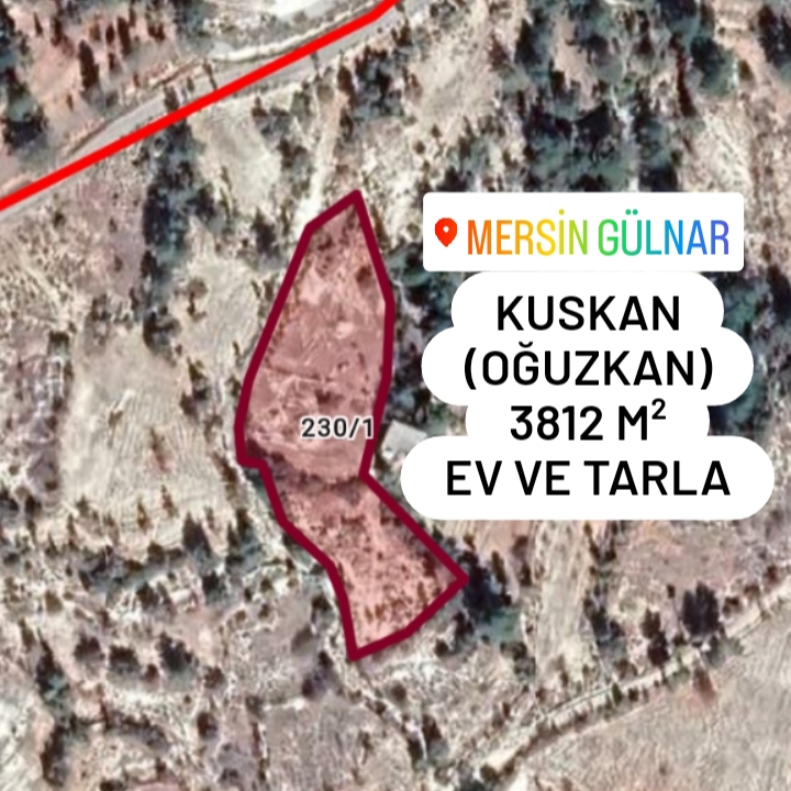 İlan Fotoğrafı