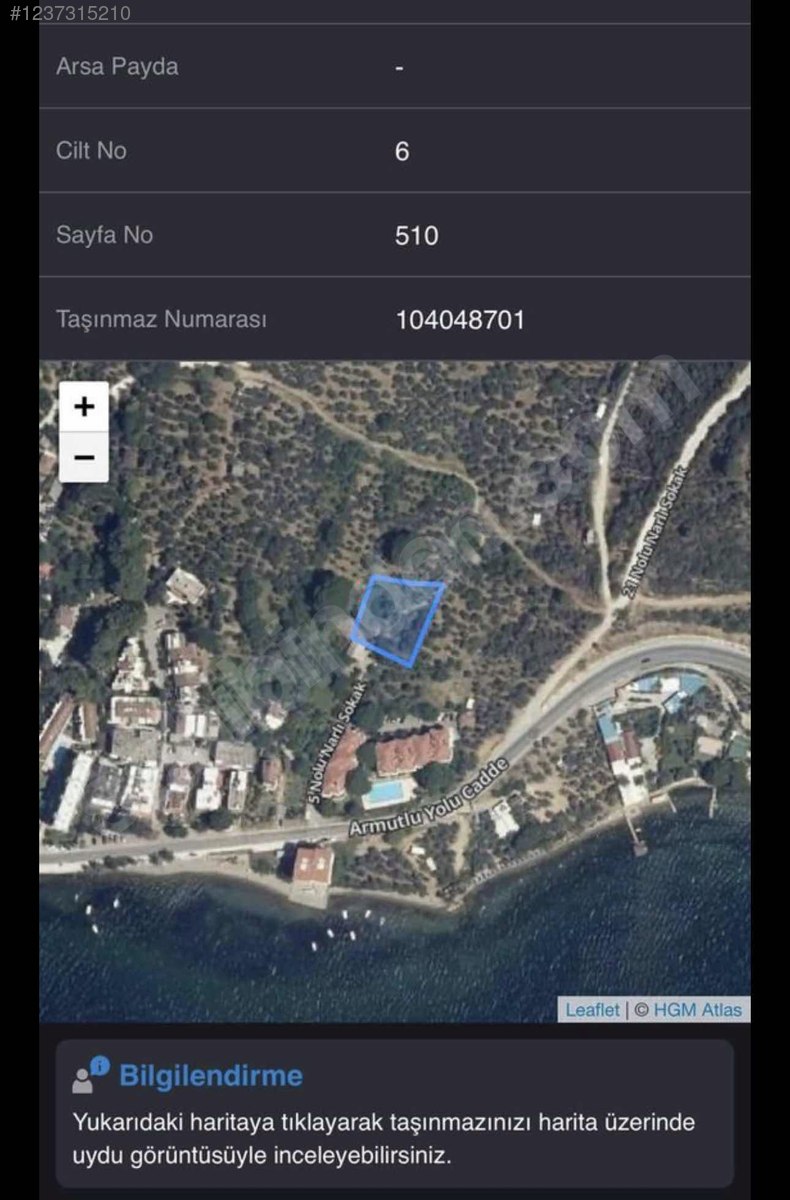 Fotoğraf