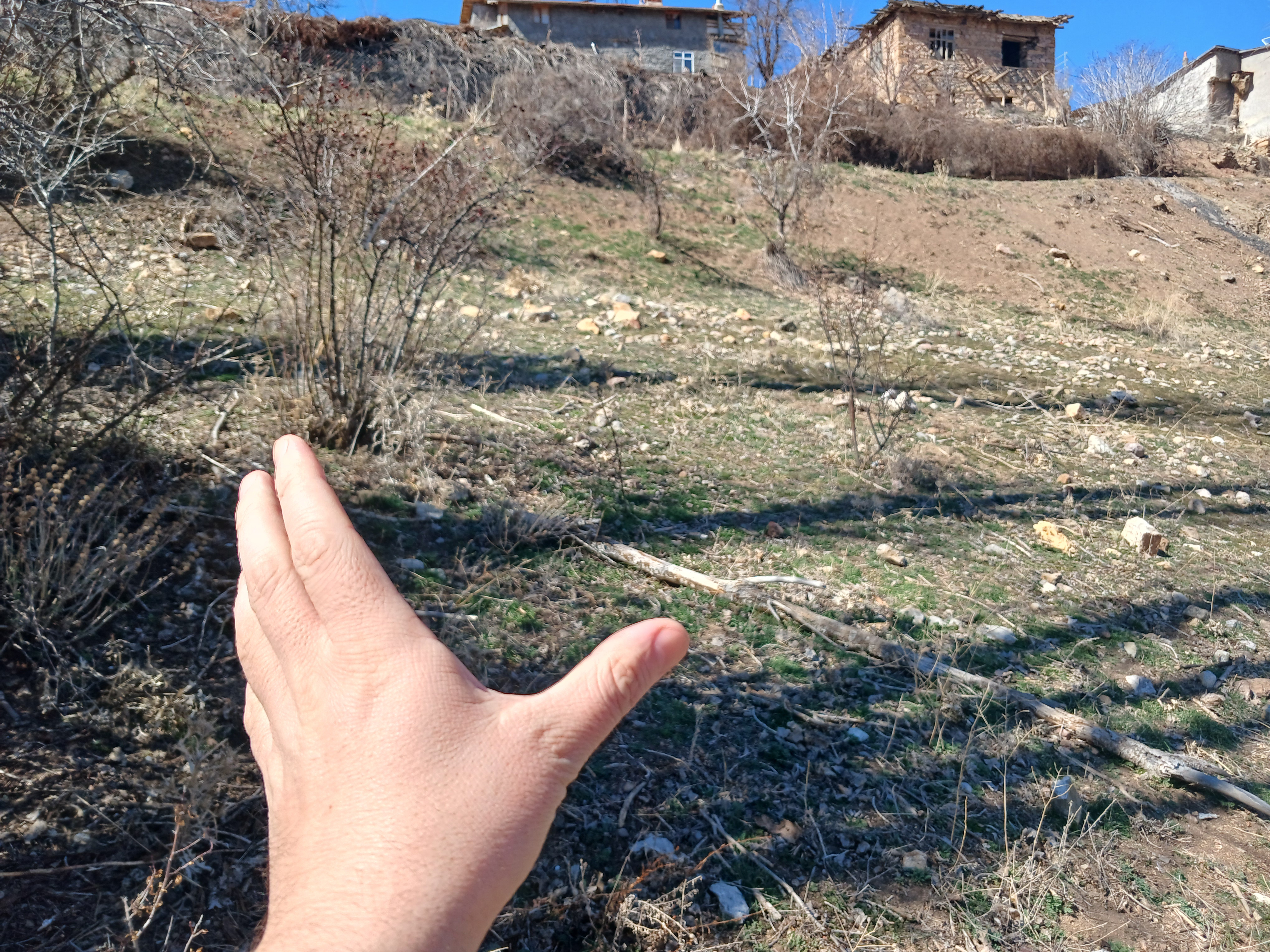 İlan Fotoğrafı