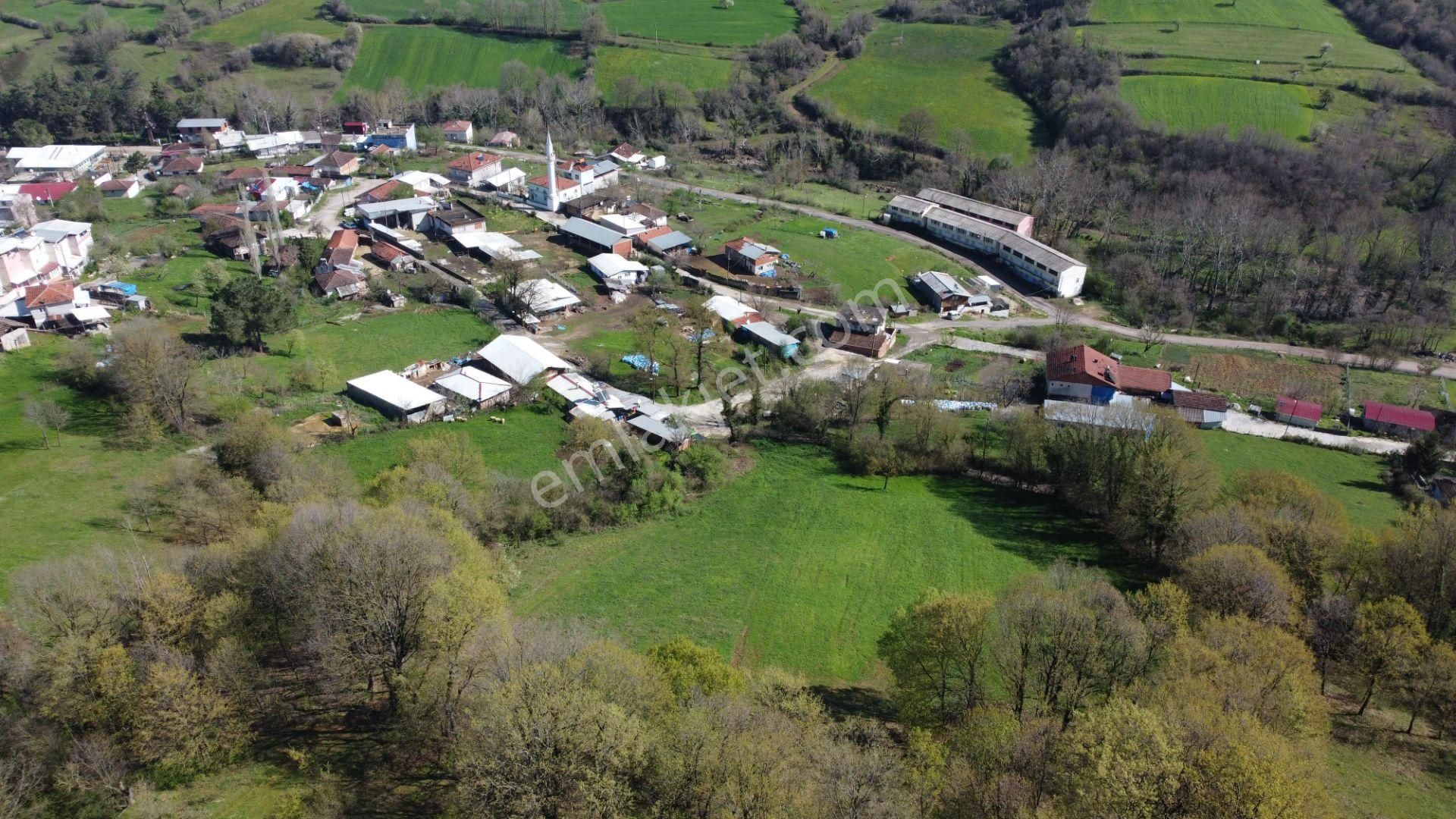 İlan Fotoğrafı