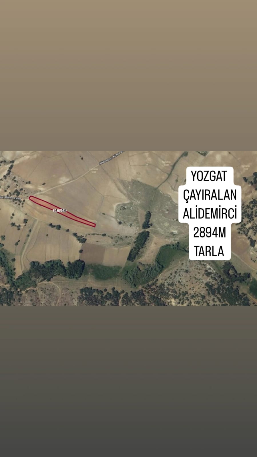 İlan Fotoğrafı