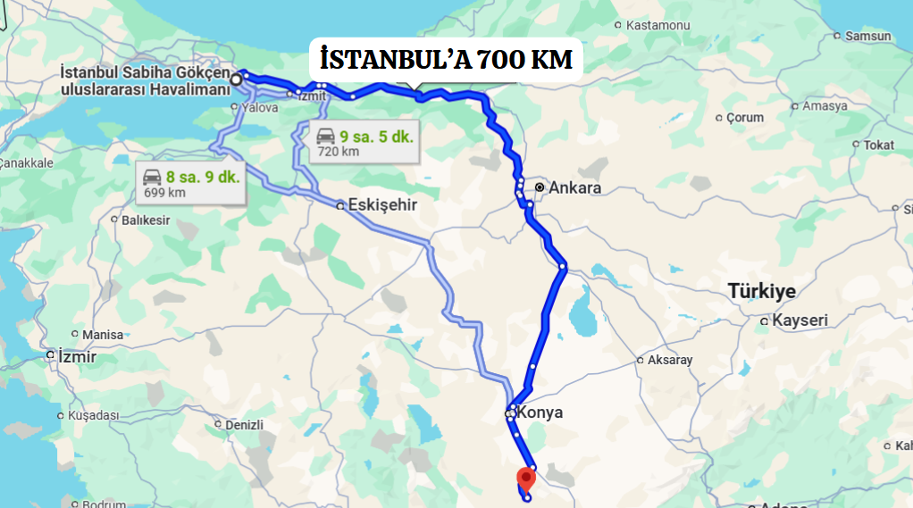 Fotoğraf