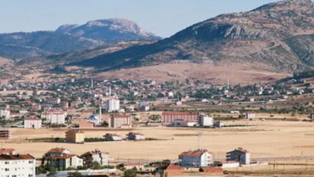 Fotoğraf
