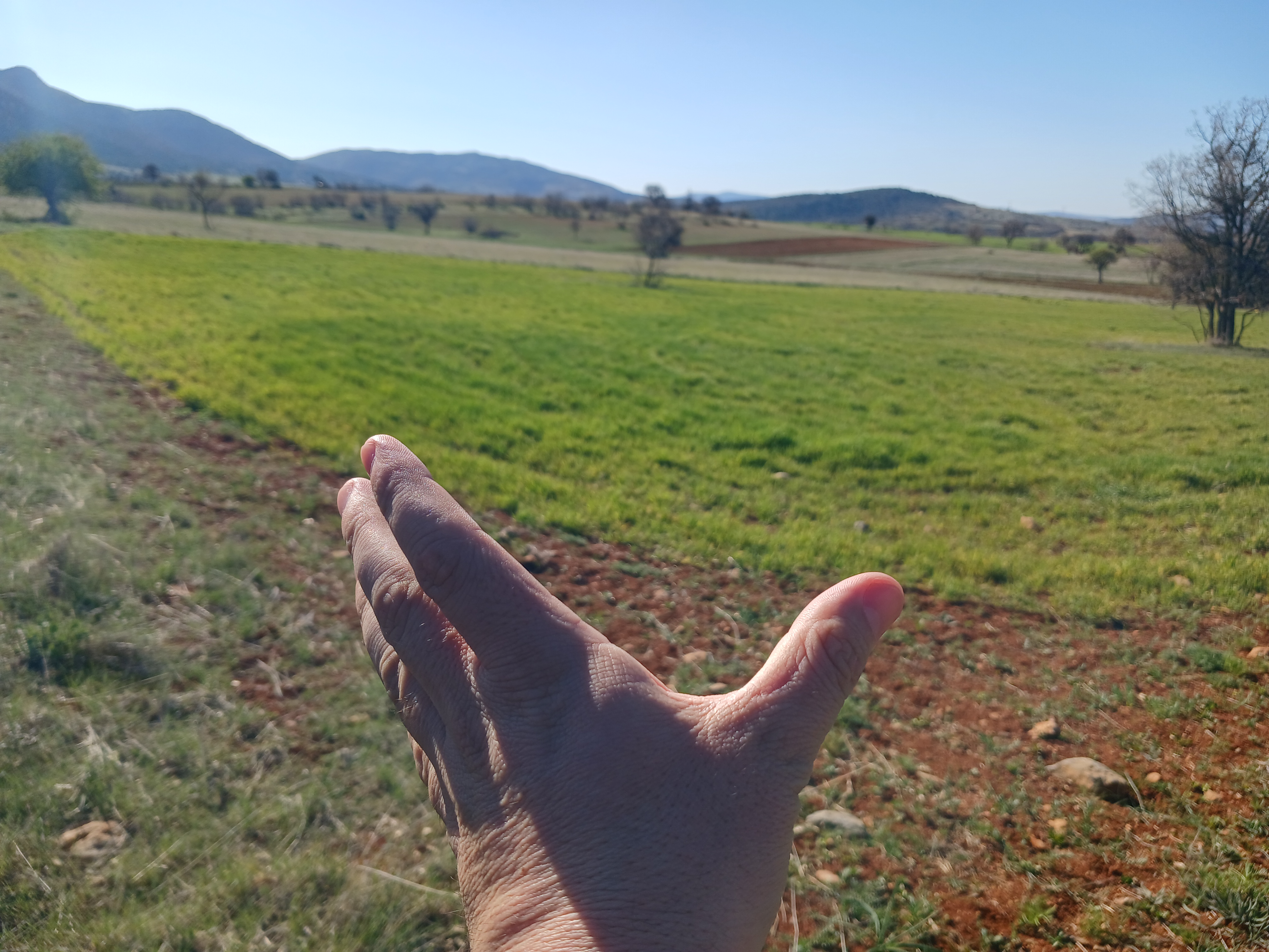 Fotoğraf
