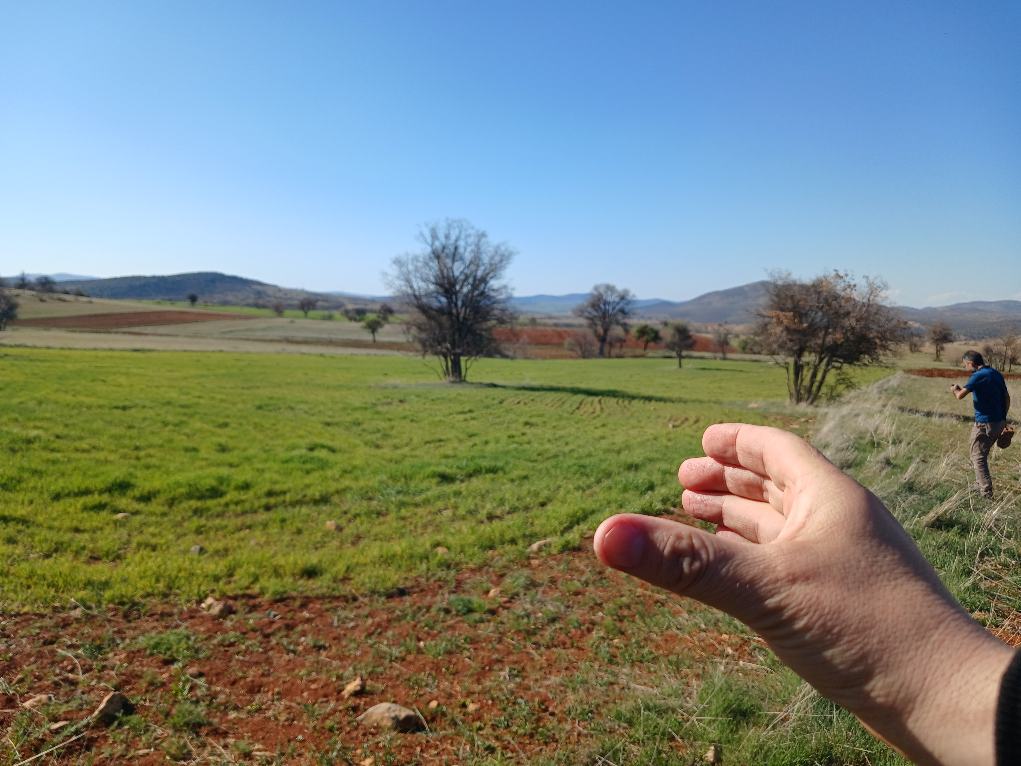 Fotoğraf
