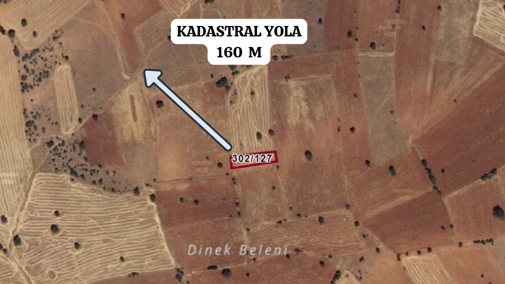 Fotoğraf