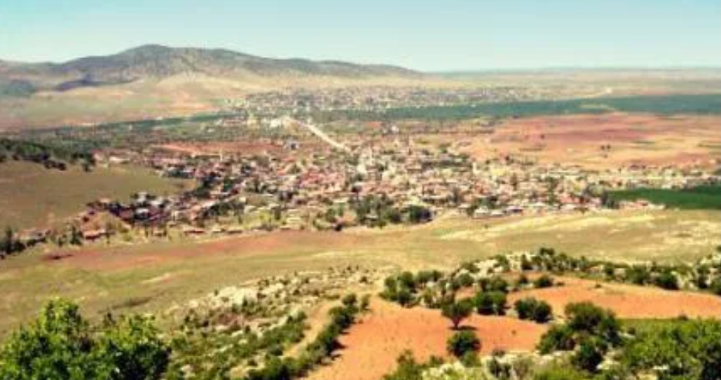 Fotoğraf