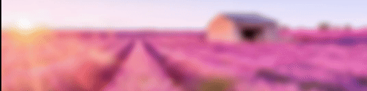 Instagram GIF